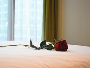 iu hotel chongqing jiefangbei center branch