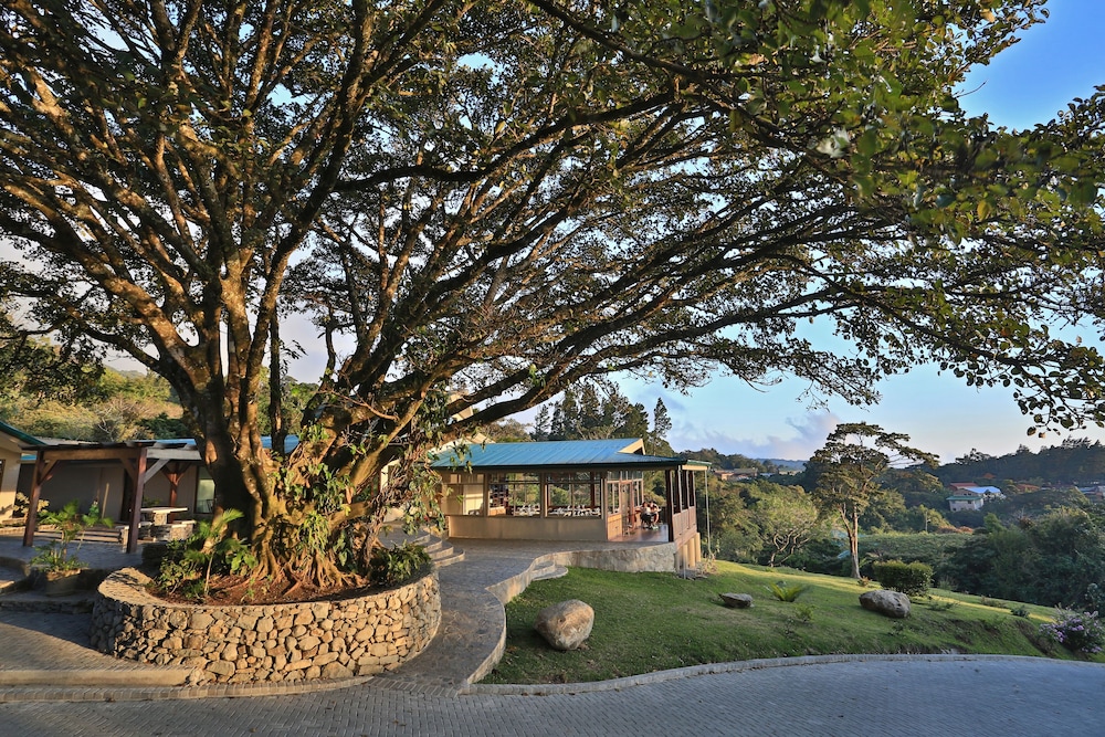 monteverde