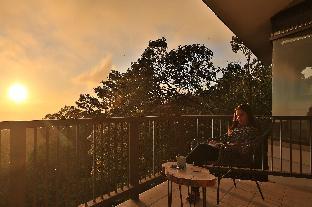 monteverde