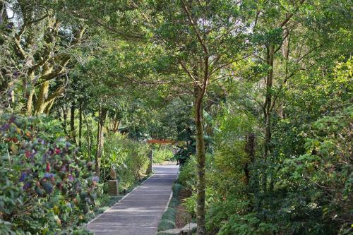 monteverde