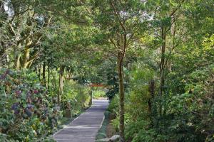 monteverde