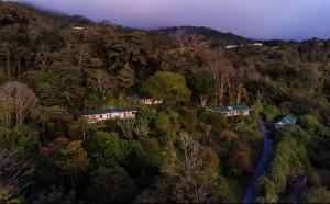 senda monteverde hotel member of the cayuga collection