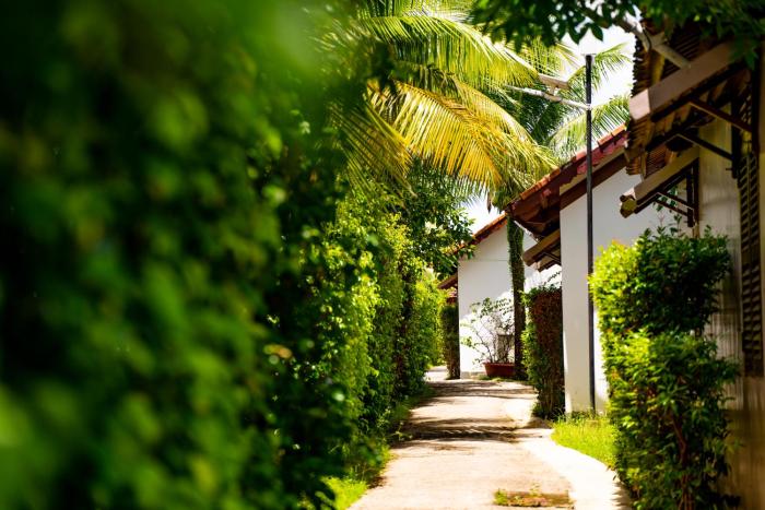 maison du vietnam resort and spa