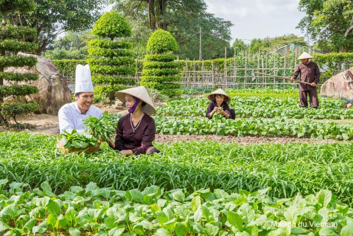 maison du vietnam resort and spa