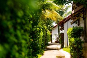 maison du vietnam resort and spa