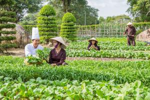 maison du vietnam resort and spa