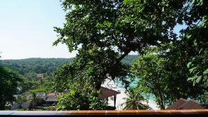 d rock garden resort