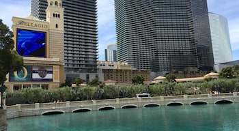las vegas