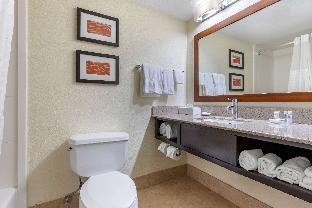 Comfort Inn & Suites Lake Norman,Cornelius>>Charlotte,3 star