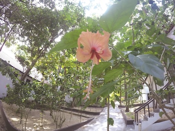 perhentian tivoli inn