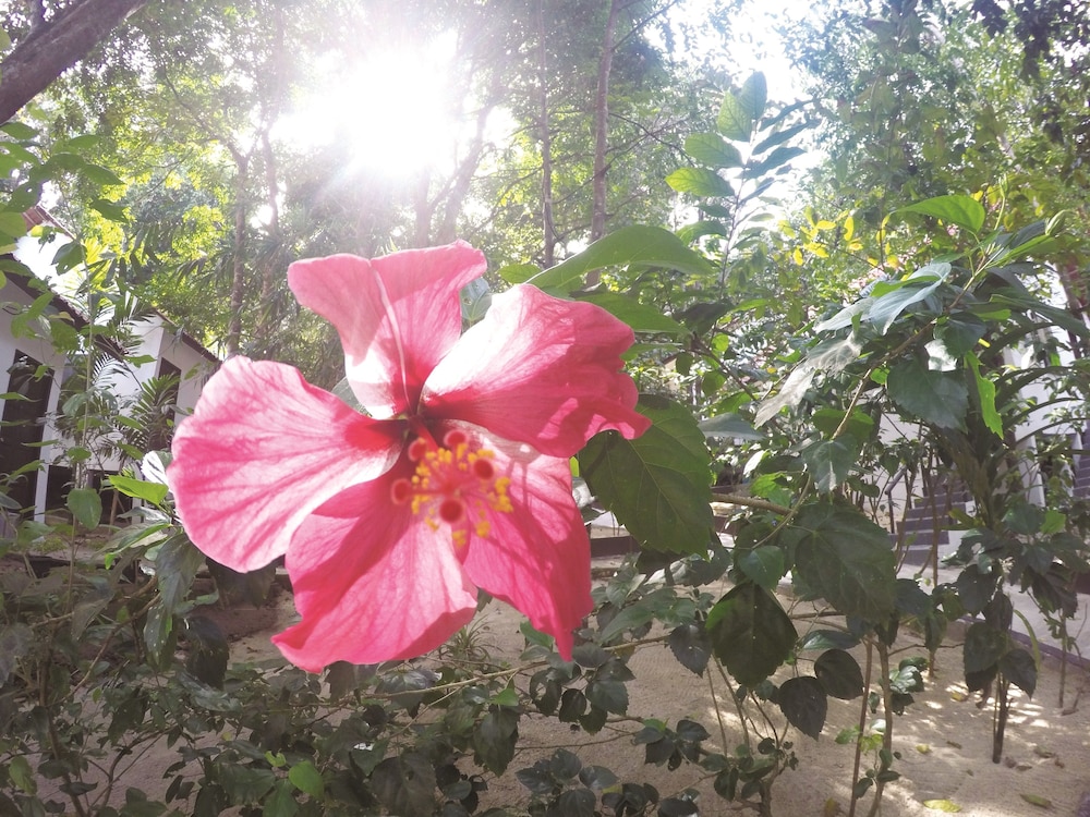 perhentian tivoli inn