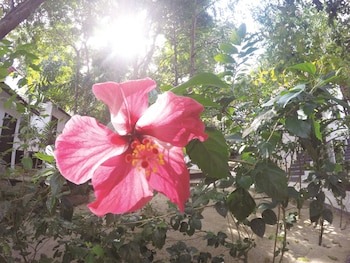 perhentian tivoli inn