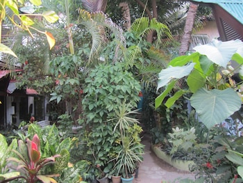 islandfront cottages