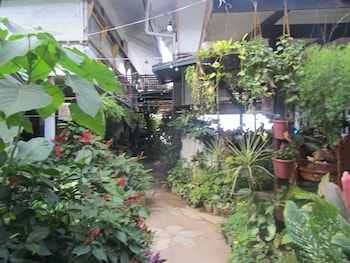 islandfront cottages