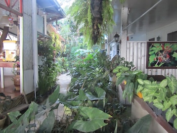 islandfront cottages