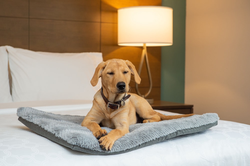staybridge suites hillsboro north an ihg hotel