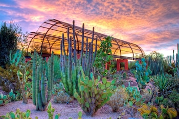 holiday inn express and suites phoenix airport no