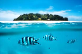 zanzibar pearl boutique hotel and villas