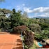 petropolis