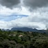 petropolis