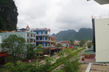 golden forest homestay