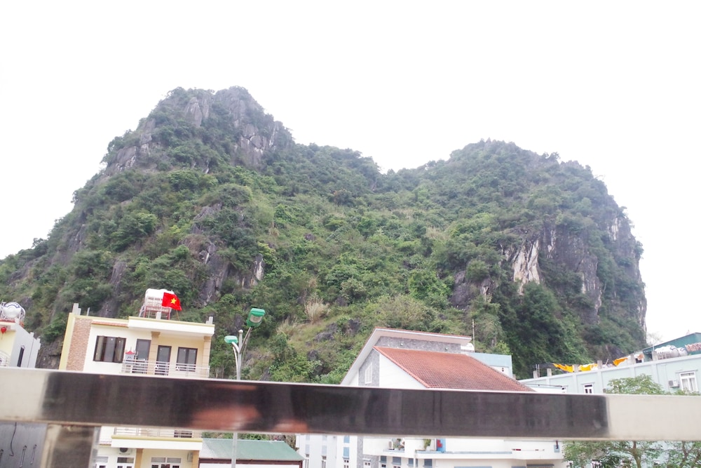 golden forest homestay