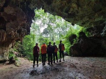 golden forest homestay