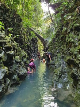 golden forest homestay
