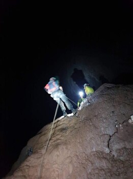 golden forest homestay