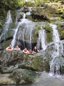 golden forest homestay