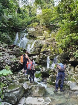 golden forest homestay