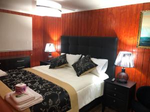 puerto williams