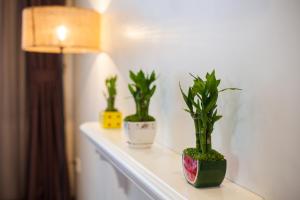 hanoi central hotel and residences