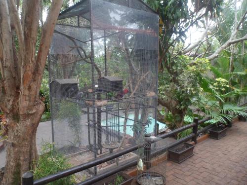 laletsa lodge