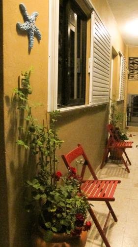 rodos backpackers
