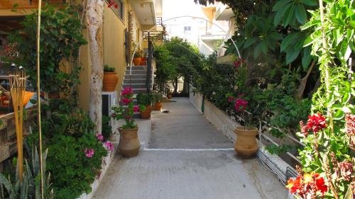rodos backpackers