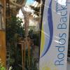 rodos backpackers