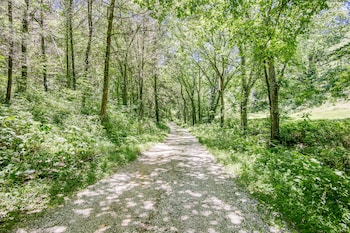 butterfly hollow bandb