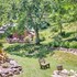 butterfly hollow bandb