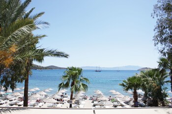 bodrum