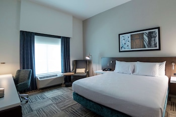 hilton garden inn spartanburg