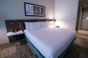 hilton garden inn spartanburg