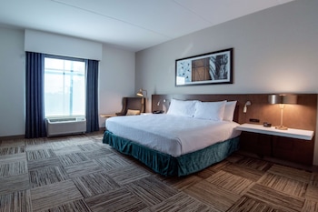 hilton garden inn spartanburg