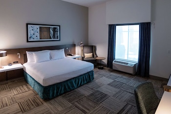 hilton garden inn spartanburg