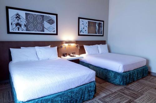 hilton garden inn spartanburg