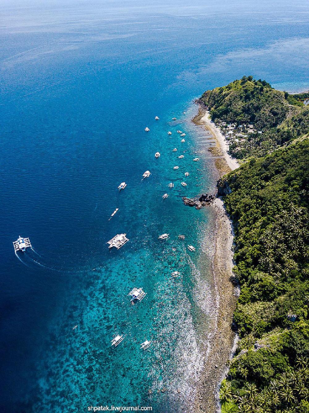 mahi mahi dive resort