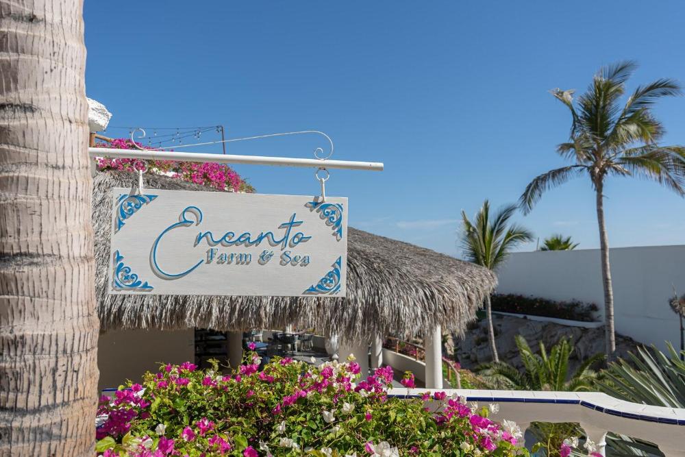 mar del cabo by velas resorts