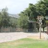 aloe ridge