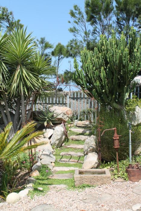 aloe ridge