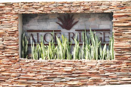 aloe ridge